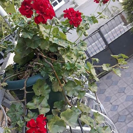 Homestay Izolda Batumi Exteriör bild