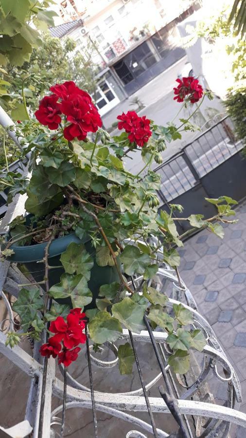 Homestay Izolda Batumi Exteriör bild